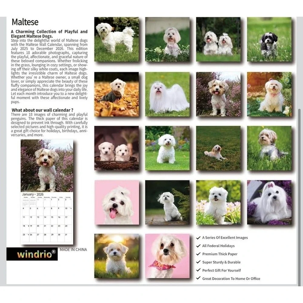 2026 Maltese Wall Calendar, 18-Month (July 2025 - December 2026) Dog‎ Breed